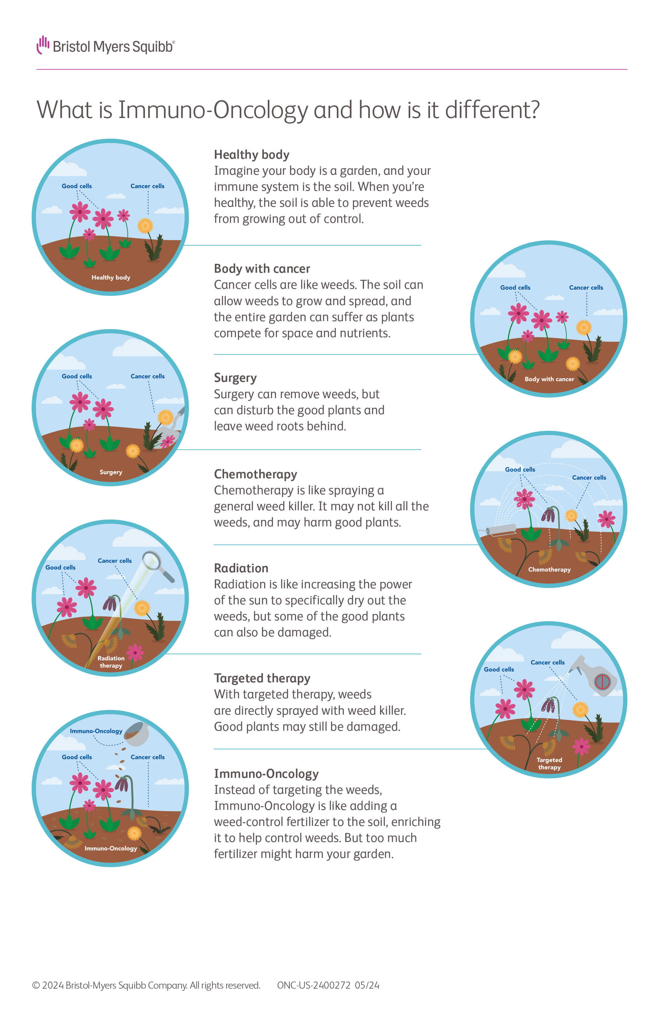 Garden Analogy Poster thumbnail